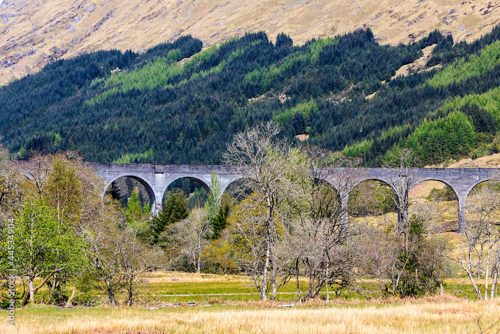 Train bridge through a valley
