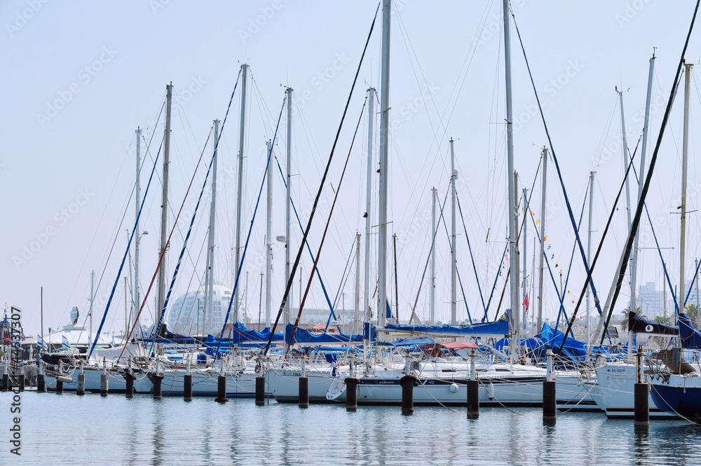 Fototapeta premium Travel Photos of Israel - Ashkelon