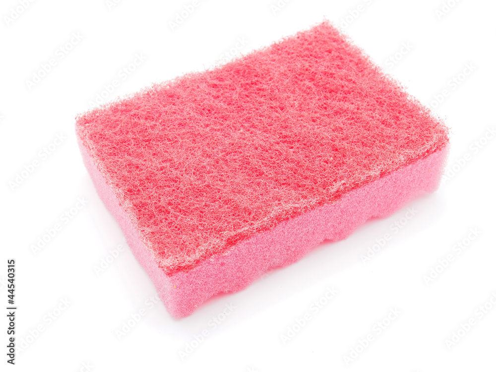 sponge isolated on the white background sponge isolated on the white background