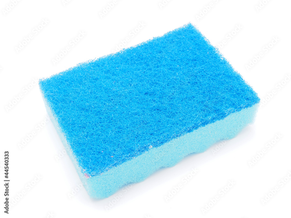 sponge isolated on the white background sponge isolated on the white background