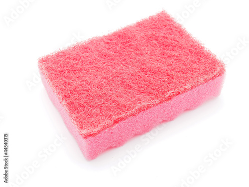  sponge isolated on the white background