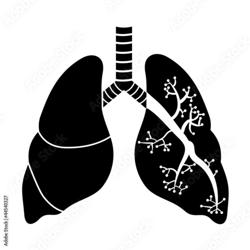 Lungs in Black and White