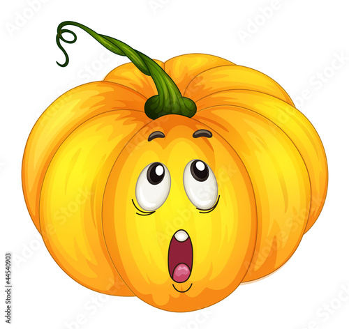 Pumkin looking up