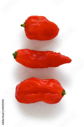 bhut jolokia, the hottest pepper in the world