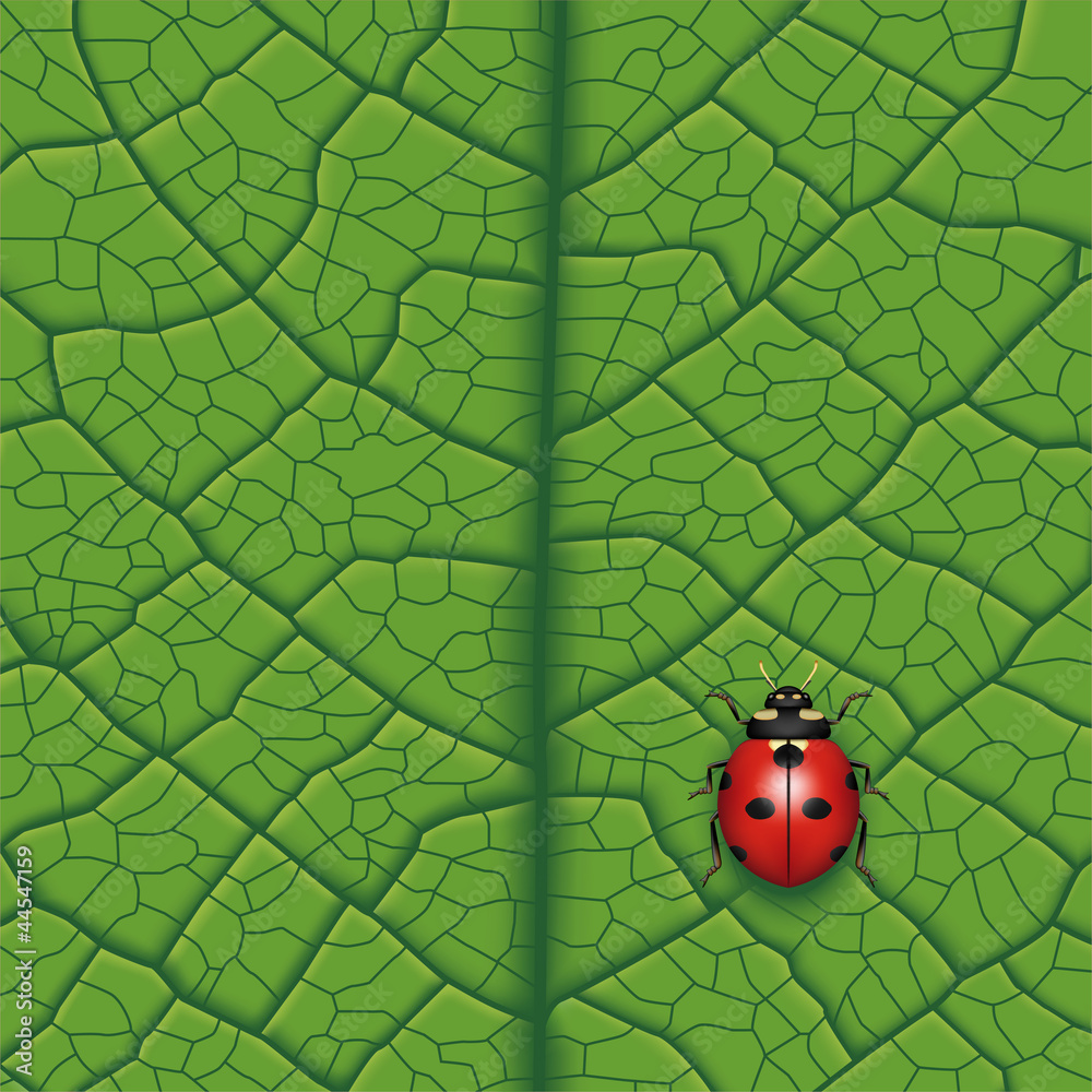 Layered vector illustration of ladybug on leaf.