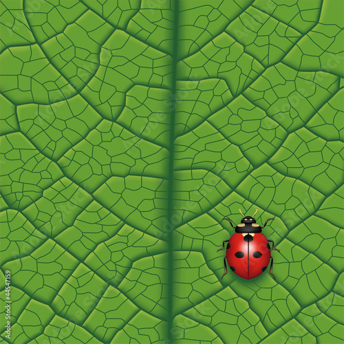Layered vector illustration of ladybug on leaf.