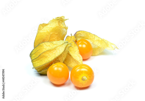 Fotografía Physalis fruit on a white background
