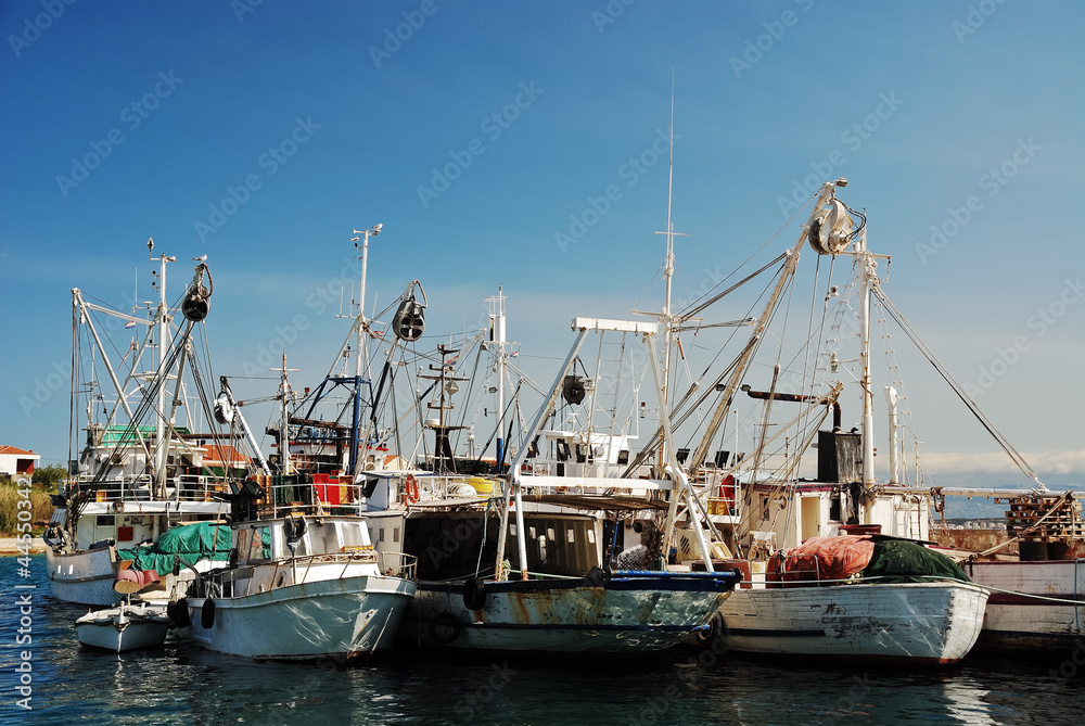 Fischerei Flotte Hafen Boot
