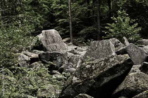 Felsenmeer in Lautertal im Odenwald photo