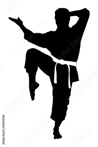 A silhouette of a karate man exercising