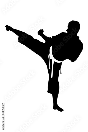 A silhouette of a karate man exercising