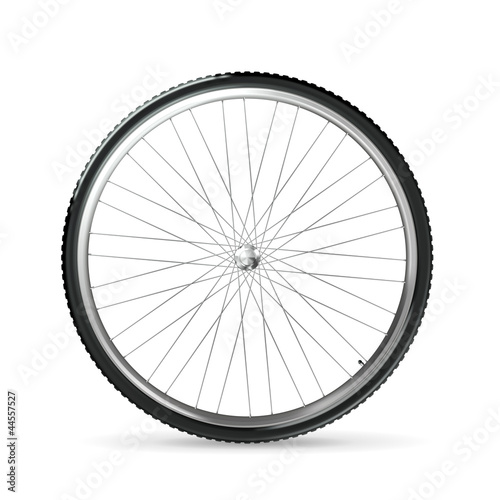Bicycle wheel