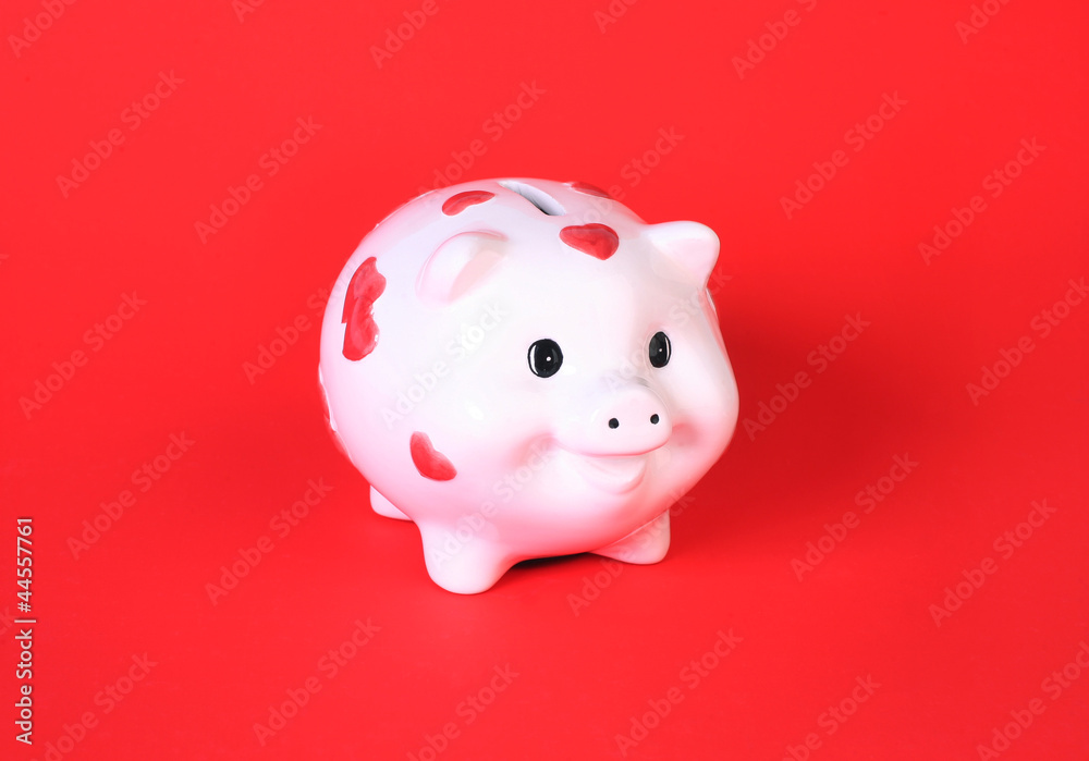 White pig-coin box White pig-coin box