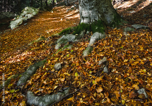 Autunno