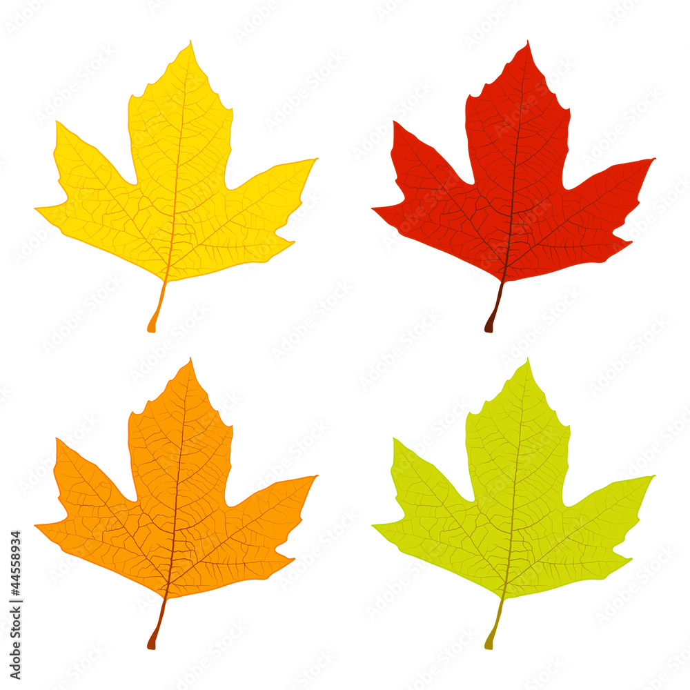 Autumn Leaves Autumn Leaves