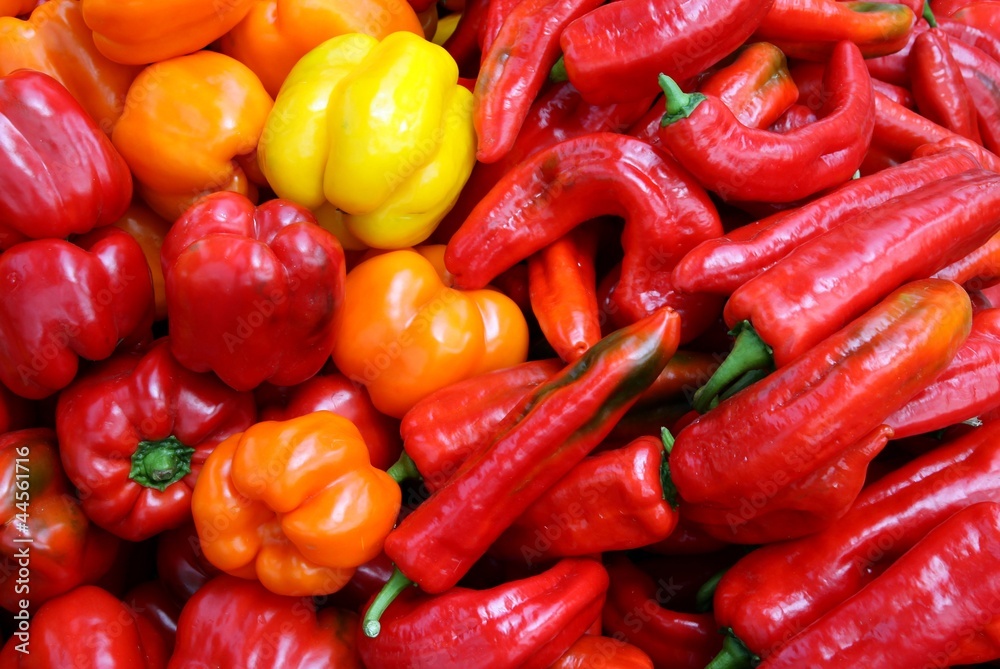 red and yellow various fruits of pepper red and yellow various fruits of pepper