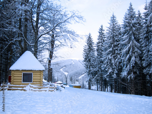 Winter Forest © laraslk