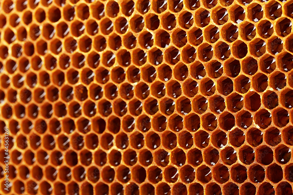 yellow beautiful honeycomb with honey, background yellow beautiful honeycomb with honey, background