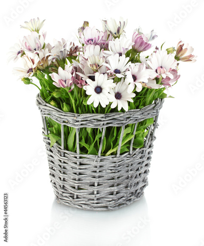 bouquet of beautiful summer flowers in wicker vase, isolated