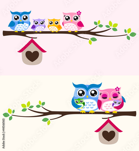 happy owl family
