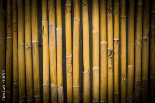 bamboo background