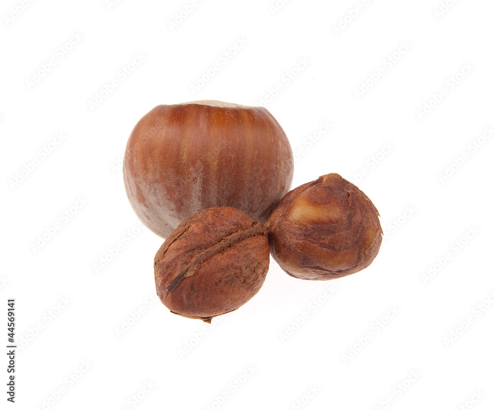 Hazelnuts macro