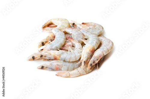 Uncooked tiger prawn on a white studio background.