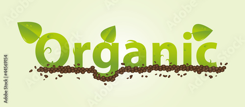 Organic - leafs and ground