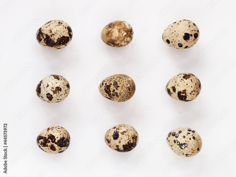 Nine quail eggs on a white background Nine quail eggs on a white background