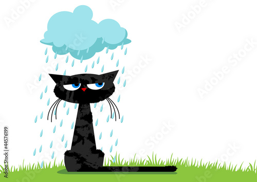 Funny unhappy cat and rainy cloud