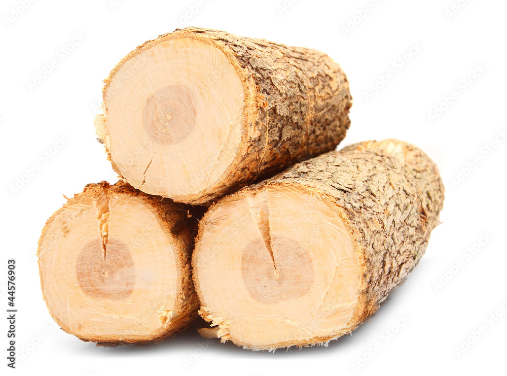 Cut logs fire wood from Common Oak tree. Cut logs fire wood from Common Oak tree.