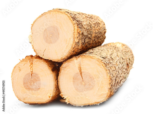 Cut logs fire wood from Common Oak tree.