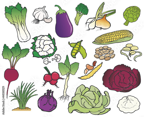 group of fresh vegetables