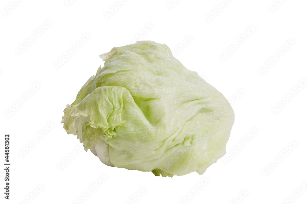 cabbage isolate on white cabbage isolate on white