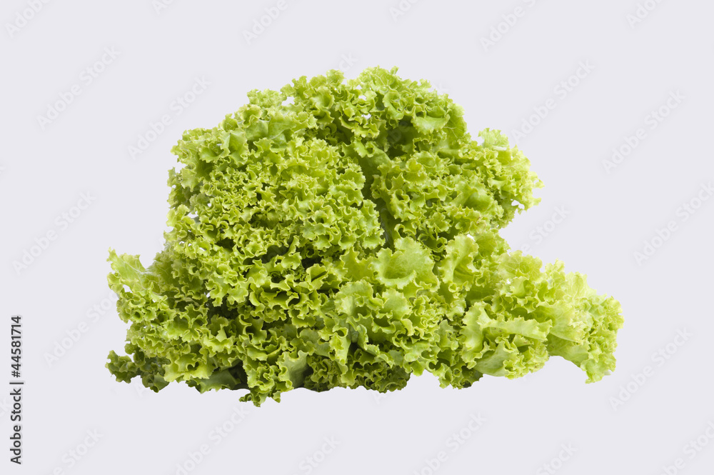 Salad Salad