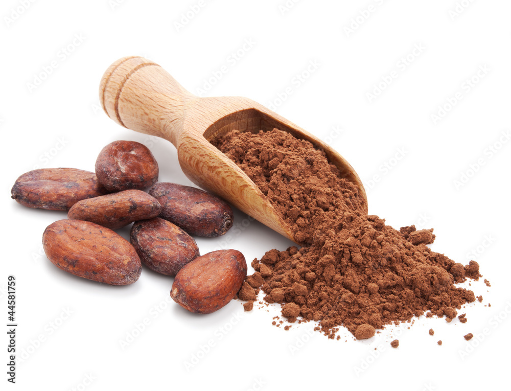 cacao beans and cacao powder isolated on white cacao beans and cacao powder isolated on white