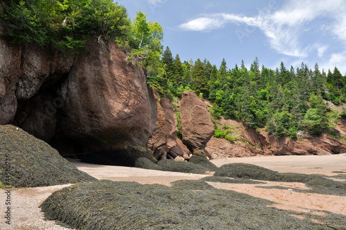 Hopewell Rocks at tide, Fundy Bay (Kanada)