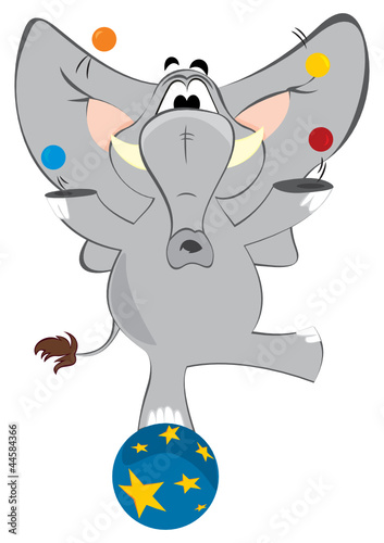 Elephant juggler