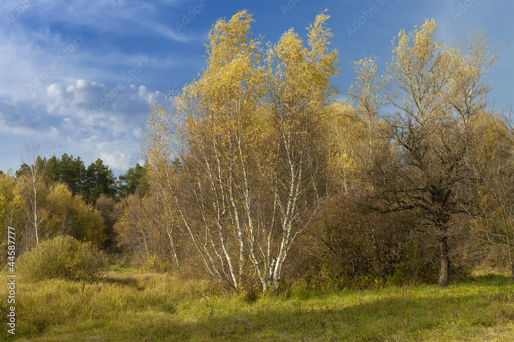 Autumn landscape. Autumn landscape.