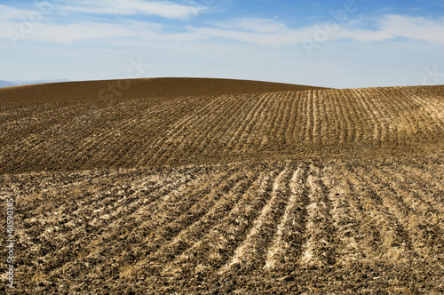Agricultural land soil and blue sky