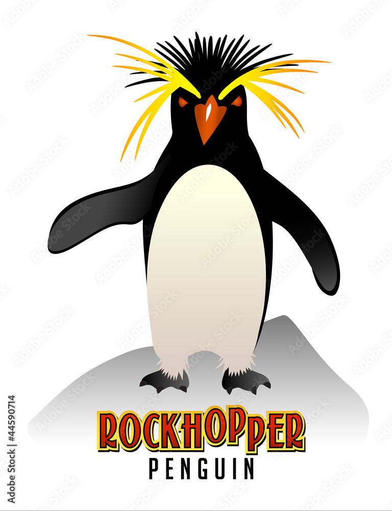 Naklejka premium Rockhopper Penguin illustration