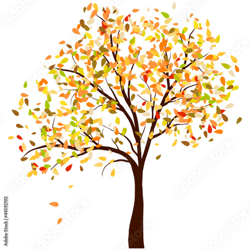 Autumn birch