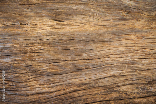 Structure of old wood