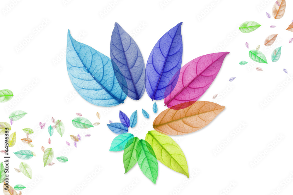 Design of Colorful leaf in white Background