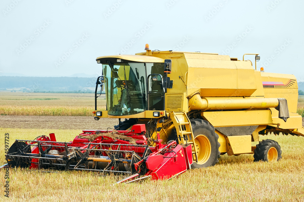 Obraz premium Mähdrescher auf abgemähtem Feld