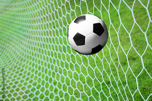 soccer ball in goal net © beachboyx10