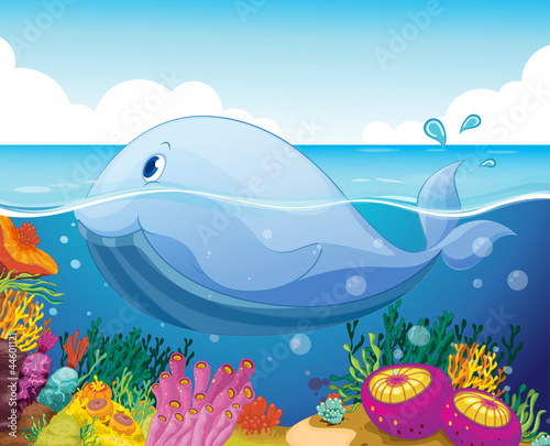 fish and coral in the sea