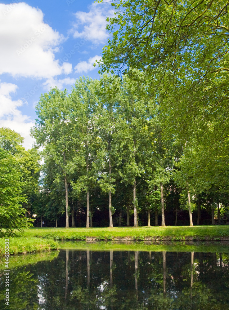 Summer Pond with a bright reflection. Summer Pond with a bright reflection.