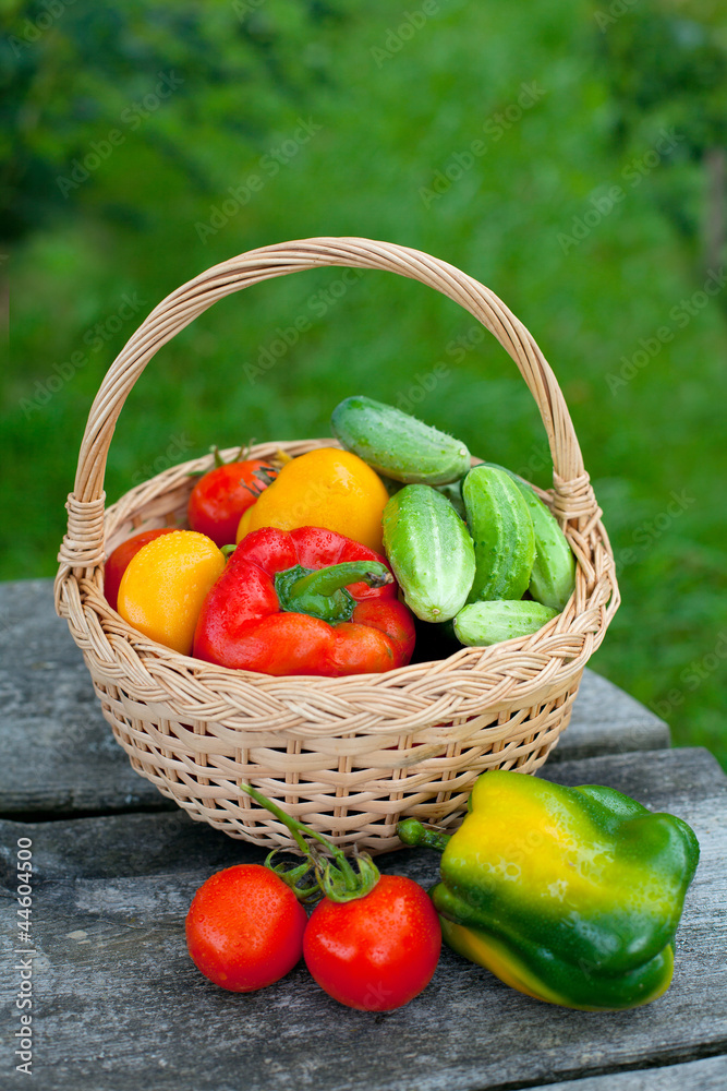 fresh vegetables fresh vegetables