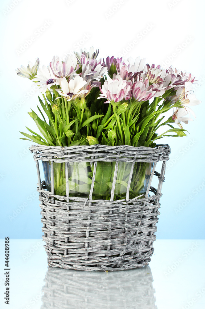 bouquet of beautiful summer flowers in wicker vase,